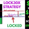 Lock30x Gold Scalper Robot Review