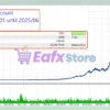 Lucky Euro MT5 Backtest Results
