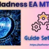 Madness EA MT5 Settings