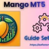 Mango MT5 Settings