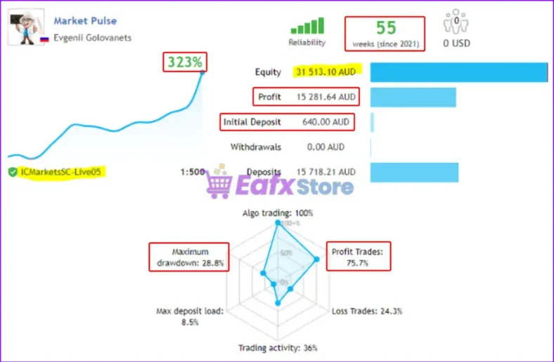 Market Pulse EA Live Trading