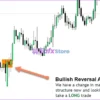 Market Reversal Alerts Indicator MT4 Review