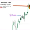 Market Reversal Alerts MT4 Review