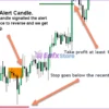 Market Reversal Alerts MT4 Reviews