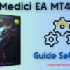 Medici EA MT4 Settings