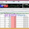 Minting EA Live Trading