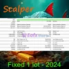 Mon Scalper MT5 Backtests Results
