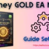Money GOLD EA MT4 Settings