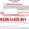 Mr Martin MT4 Backtest Results