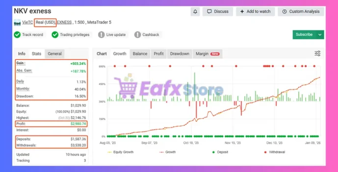 NKV EA MT5 Myfxbook