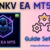 NKV EA MT5 Settings
