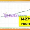 NOUX Forex Shield GBPJPY MT5 Backtest Trading Results