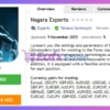 Nagara Experts EA MT4 Review