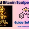 Naked Bitcoin Scalper EA MT5 Settings