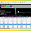 NetZ EA MT4 Review