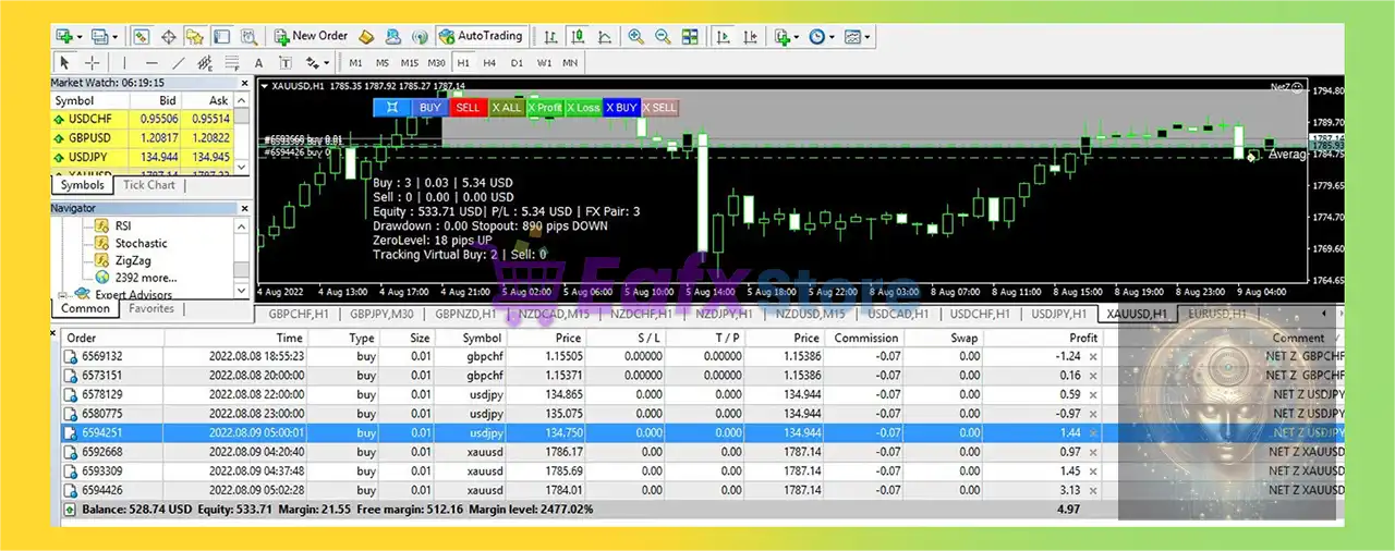 NetZ EA MT4 (Latest version) 4 NetZ EA MT4 Review