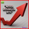 Never Losing EA MT4