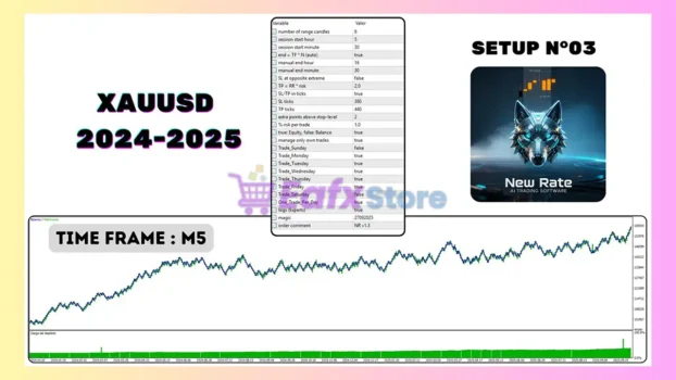 New Rate MT5 Backtest