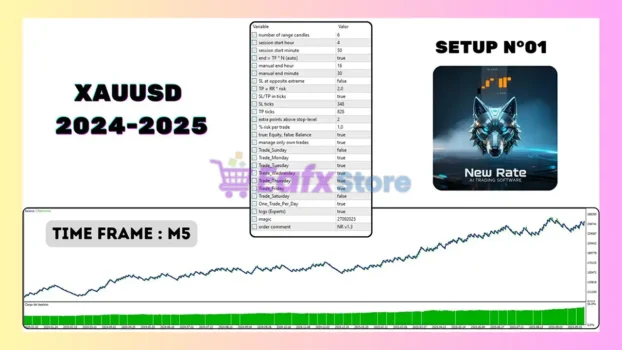 New Rate MT5 EA Backtest