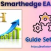 New Smarthedge EA MT5 Settings