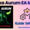 Nexa Aurum MT5 Settings