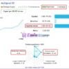 Nexus EA Forex MT5 Signal Results