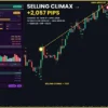 Omega VSA Effort Indicators Review
