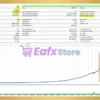 One Gold MT4 Backtest Results