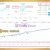 One Gold MT4 Live Results