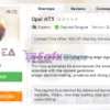 Opal MT5 Overview