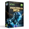Padu Viral EA