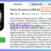 Pattie Breakout ORB EA MT4 Review