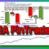 PinTrade MT4 Backtest