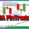 PinTrade MT4 Backtest Reuslts