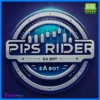 Pips Rider EA RoBot