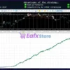 Price Action FX MT5 Backtest