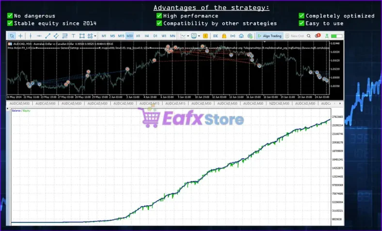 Price Action FX MT5 Backtest