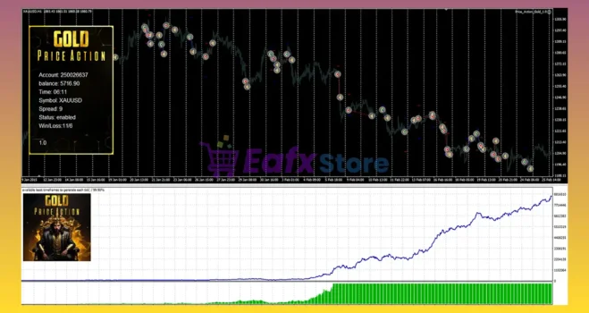 Price Action Gold MT5 Backtests