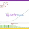 PrimAI Power MT5 Backtest Trading Results