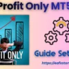 Profit Only MT5 Settings