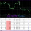 Quantum Baron MT5 Backtest Results