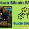 Quantum Bitcoin EA MT5 Settings