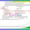 Quantum Dark Gold MT4 Backtest Results