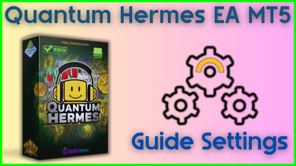 Quantum Hermes MT5 setting