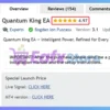 Quantum King MT5 Review