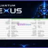 Quantum Nexus MT5 Backtest