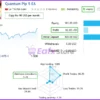 Quantum Pip MT5 Results