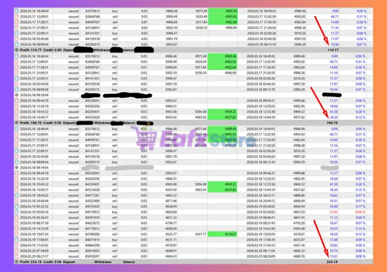 Queen Strategies Empire MT5 Trading Results