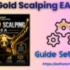RFP Gold Scalping EA MT4 Settings