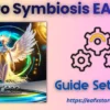 RT Pro Symbiosis EA MT5 Settings